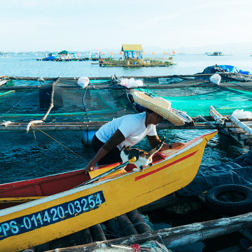 Fisherman and Cat on a Boat